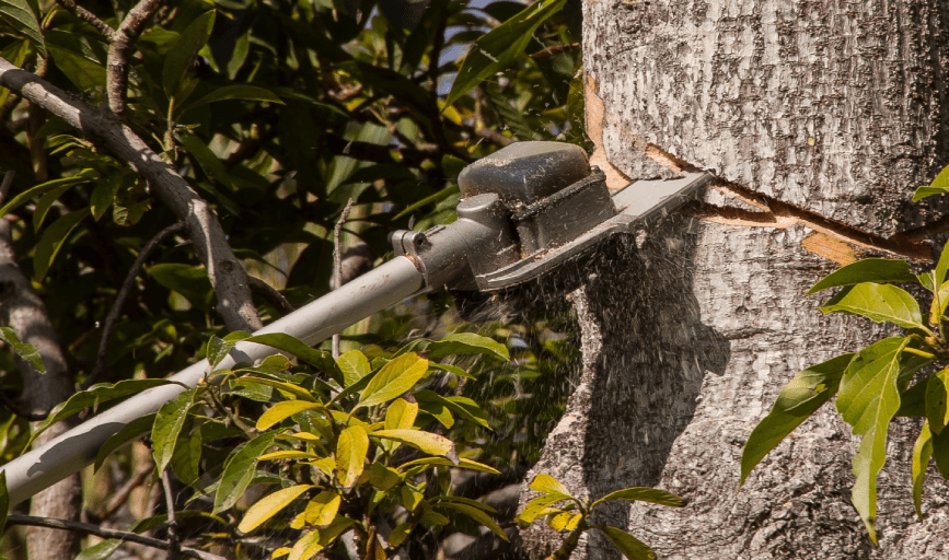 B&C's Tree And Outdoor Services