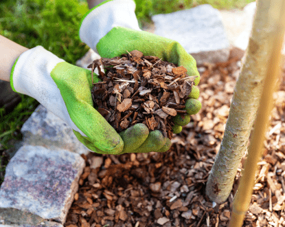 MULCHING