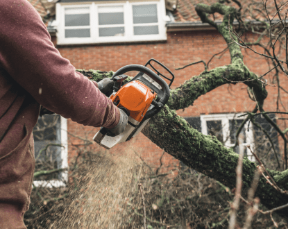 TREE SERVICES