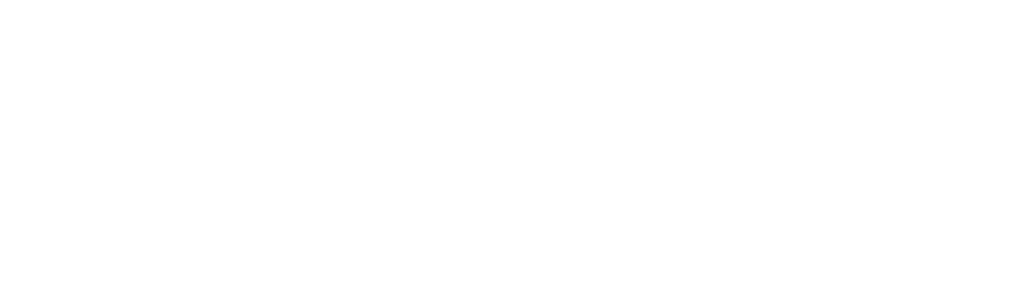 Leo Paver LLC