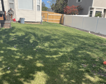 LAWN MAINTENANCE