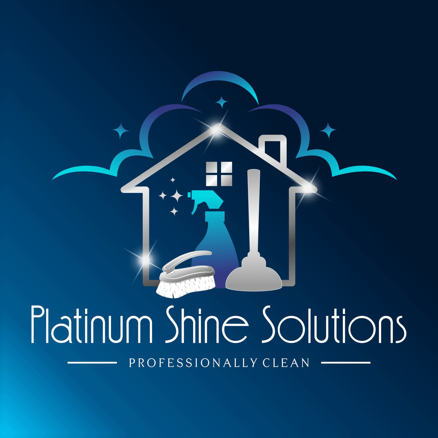 Platinum Shine Solutions