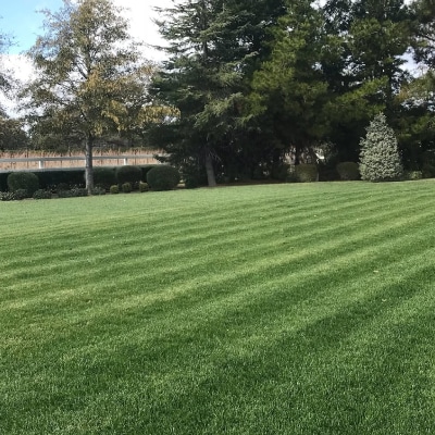 LANDSCAPE MAINTENANCE