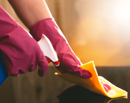 HOUSE CLEANING SERVICES