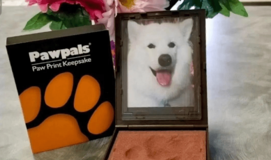 Pet Cremation Company