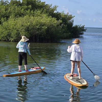 PADDLE BOARD RENTAL