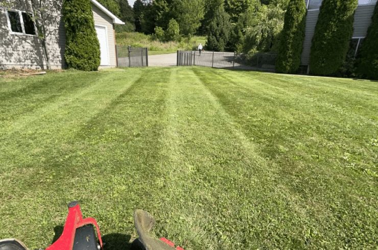 McNavish Lawncare and Landscaping