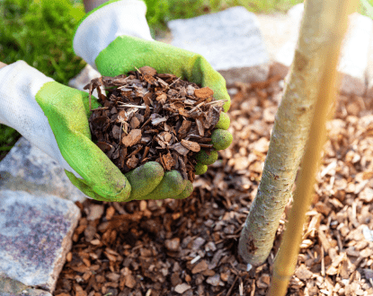 MULCHING