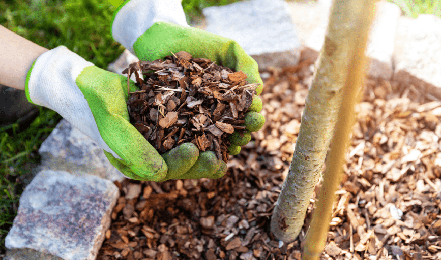 McNavish Lawncare and Landscaping