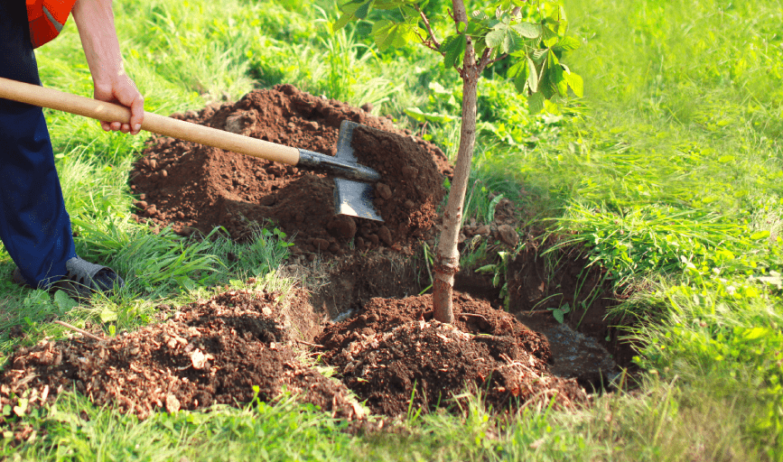 McNavish Lawncare and Landscaping