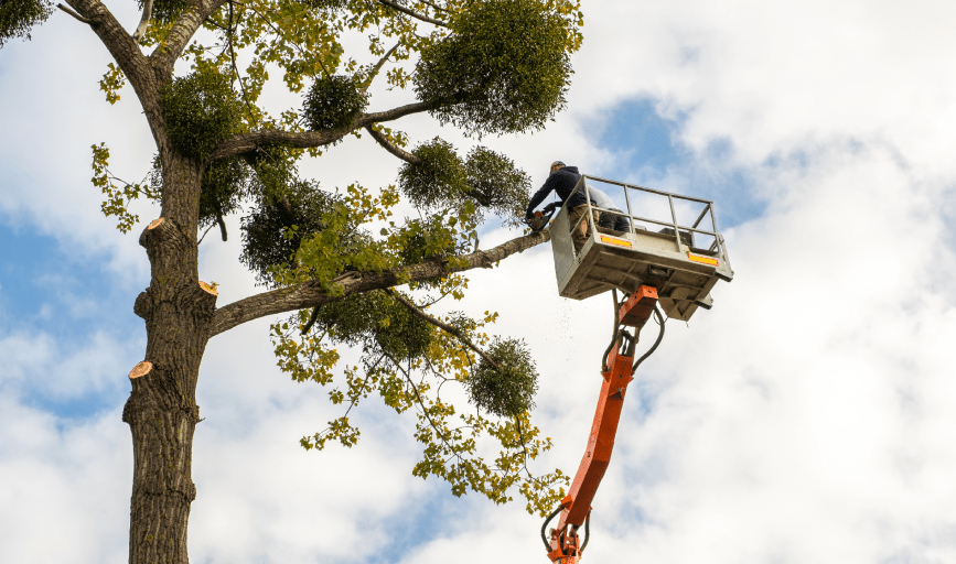 Racing River Land and Logging