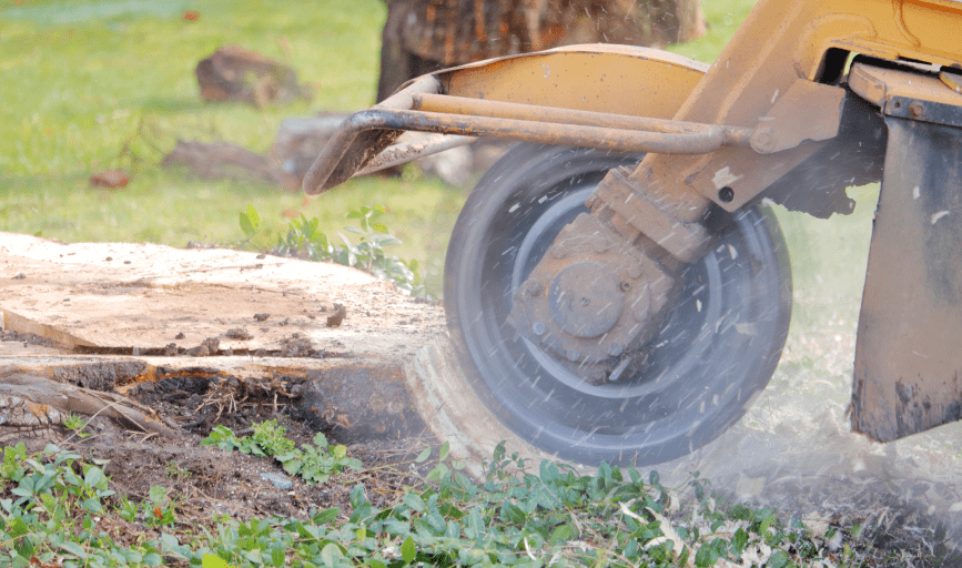 Racing River Land and Logging