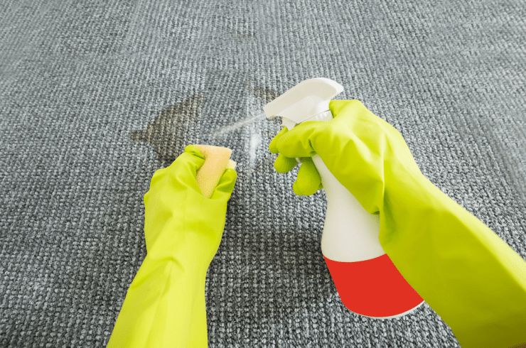 Two Sister Cleaning