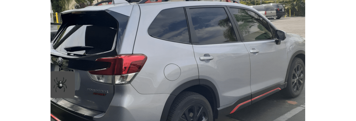 New Vision Auto Glass Plus Tint