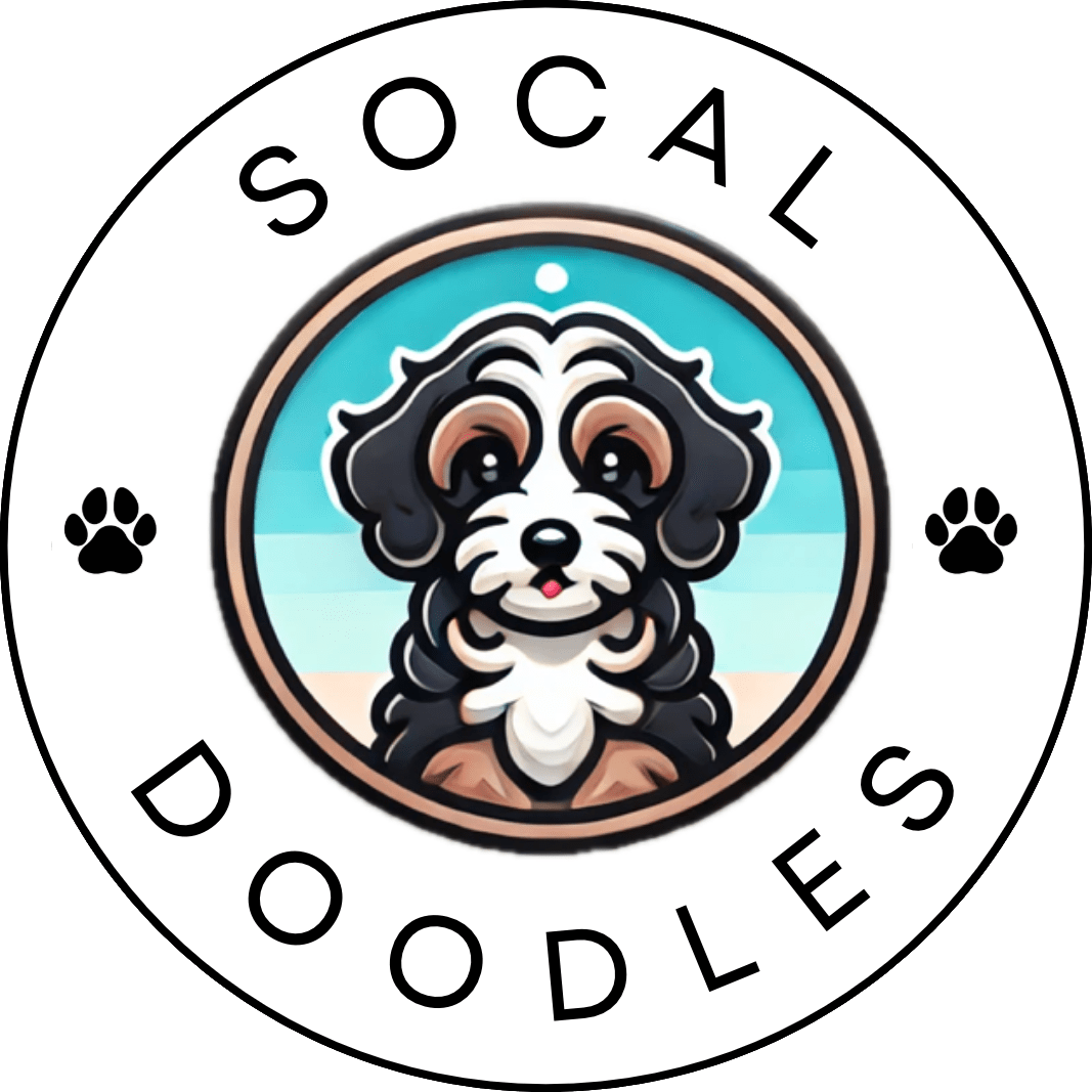 SoCal Doodles