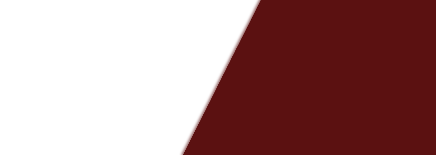 Gutter Cleaning Services