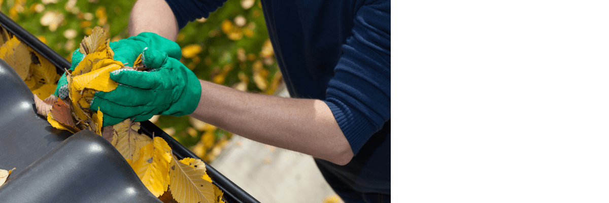 Gutter Cleaning Services