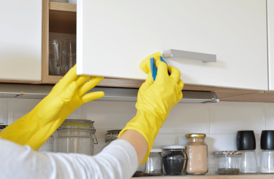 Threee Sisters Cleaning Services