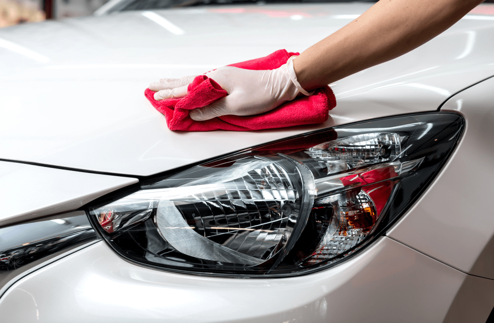 Royalty Detail Cleaning