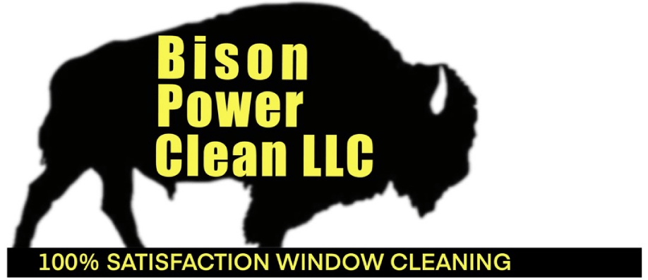 Bison Power Clean