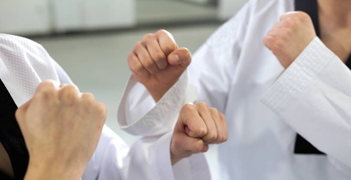 Tiger One Martial Arts