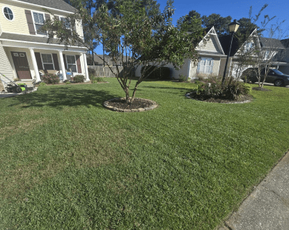 LAWN MAINTENANCE