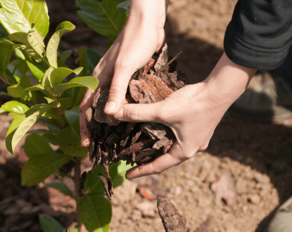 MULCHING