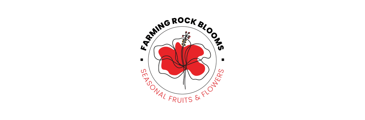 Farming Rock Blooms