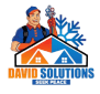 David Solutions