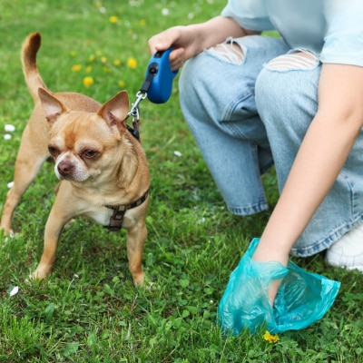 PET WASTE REMOVAL SERVICE