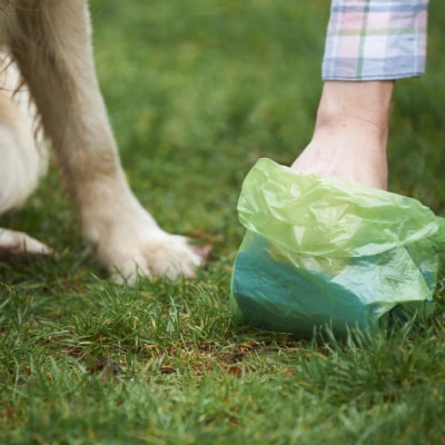 PET WASTE CLEANUP 