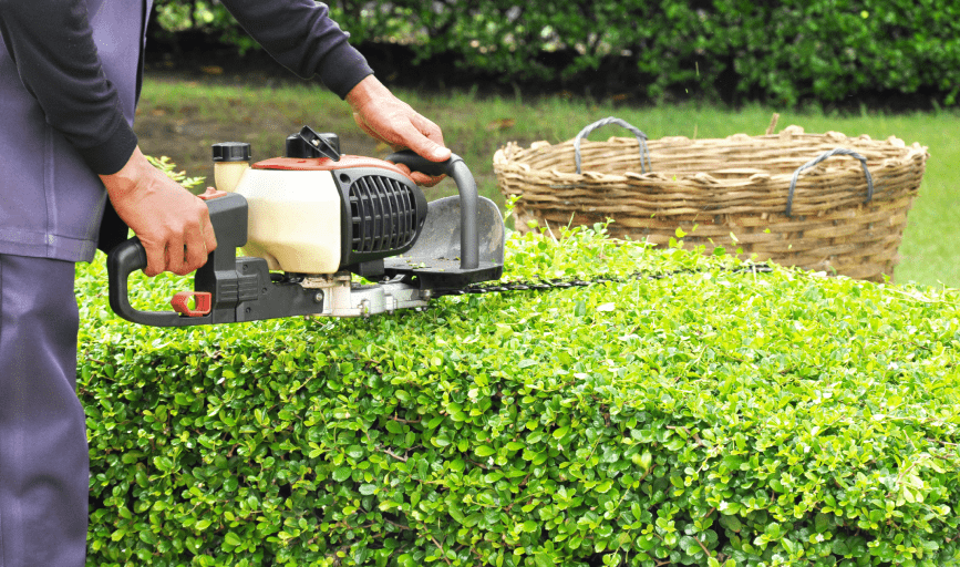Rubio Lawn Maintenance and Landscaping