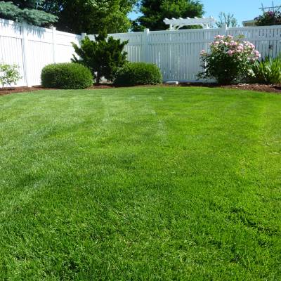 RESIDENTIAL LAWN MOWING SERVICES
