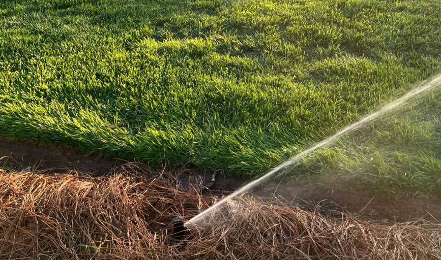 Visionary Irrigation