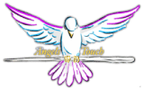 Angels Touch