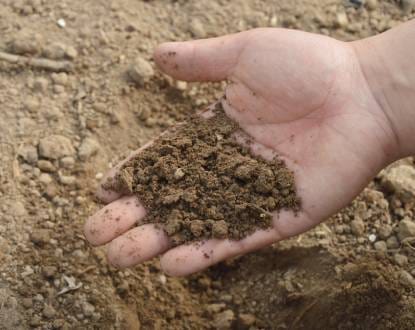 SOIL PREPARATION