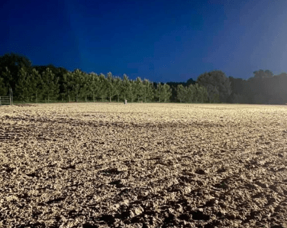 LAND CLEARING SERVICE