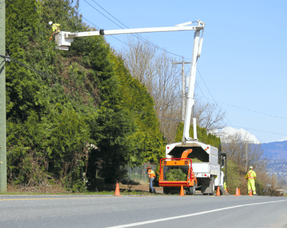 COMMERCIAL TREE SERVICES