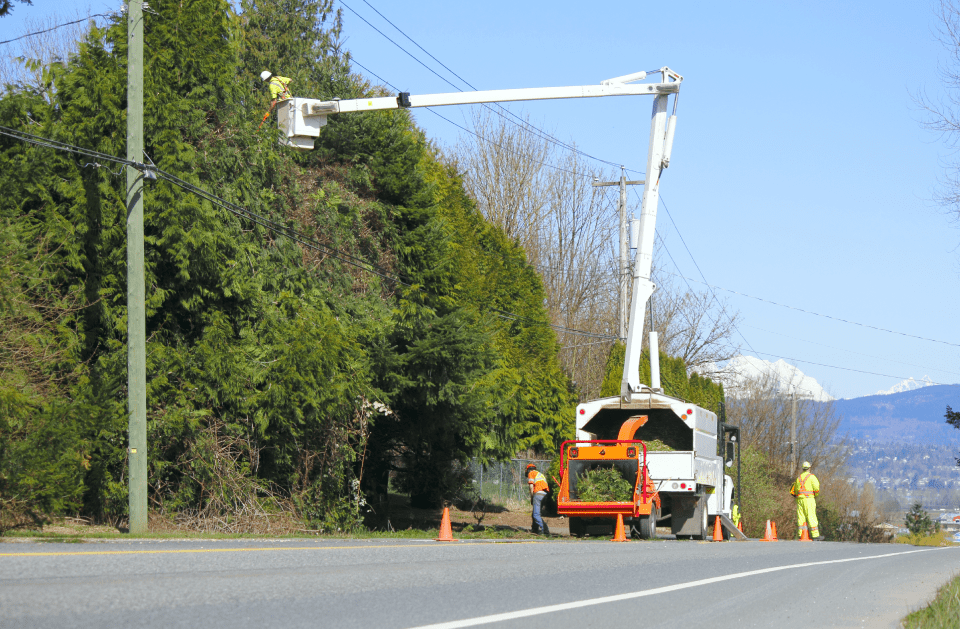 L&J Tree Service and More