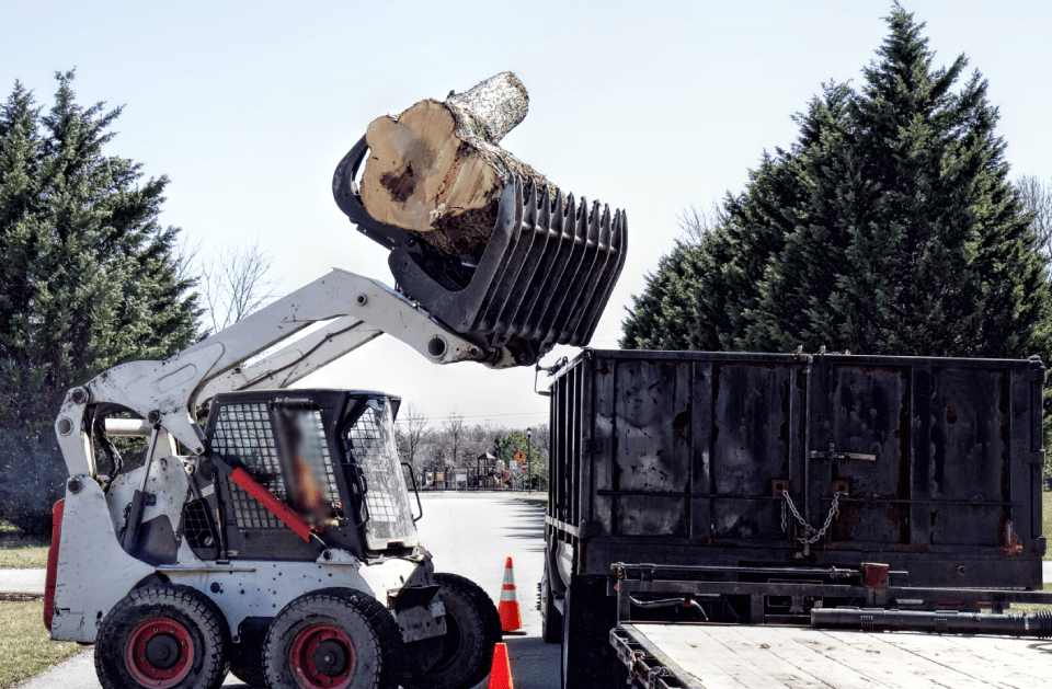 L&J Tree Service and More