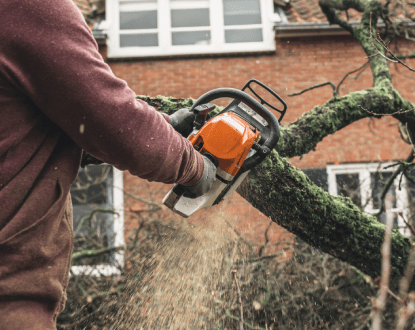 RESIDENTIAL TREE SERVICES