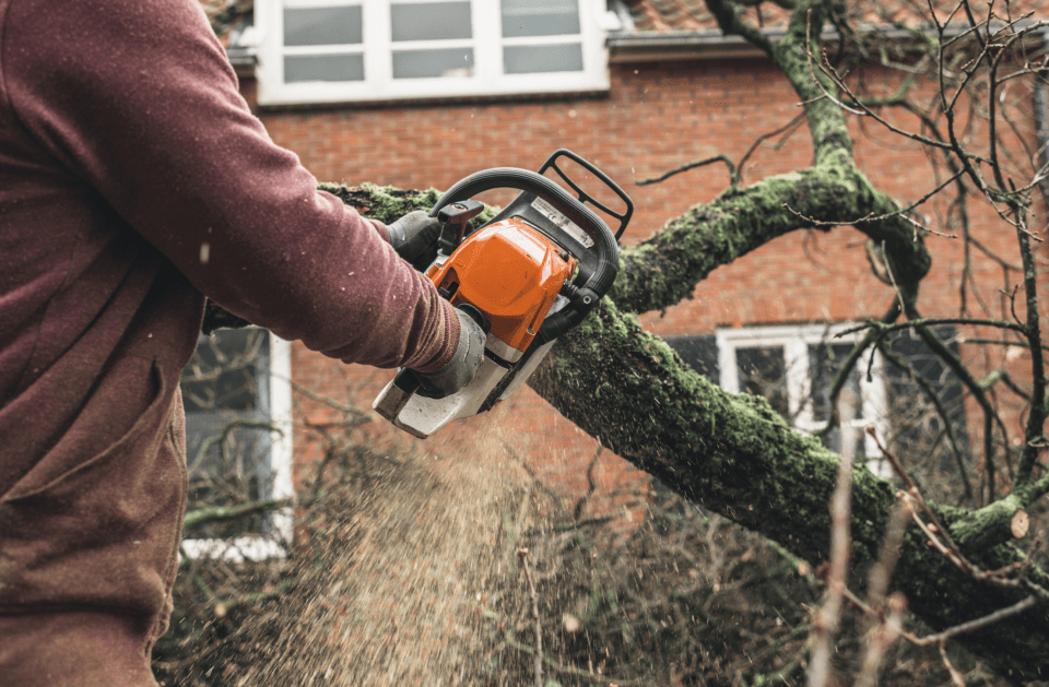 L&J Tree Service and More