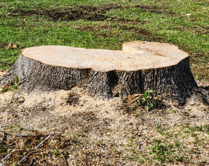 STUMP GRINDING