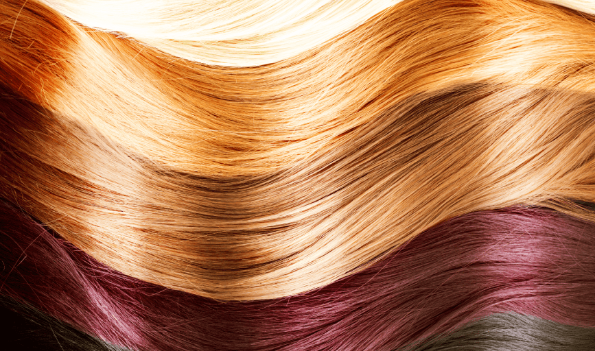 Barber & Beauty Salon