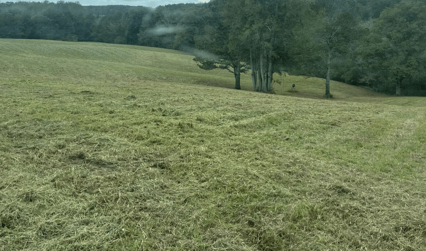 Clearscape Land Management