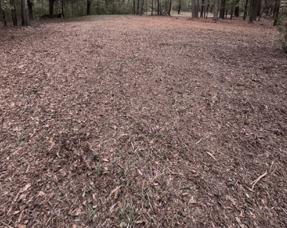 FORESTRY MULCHING SERVICE