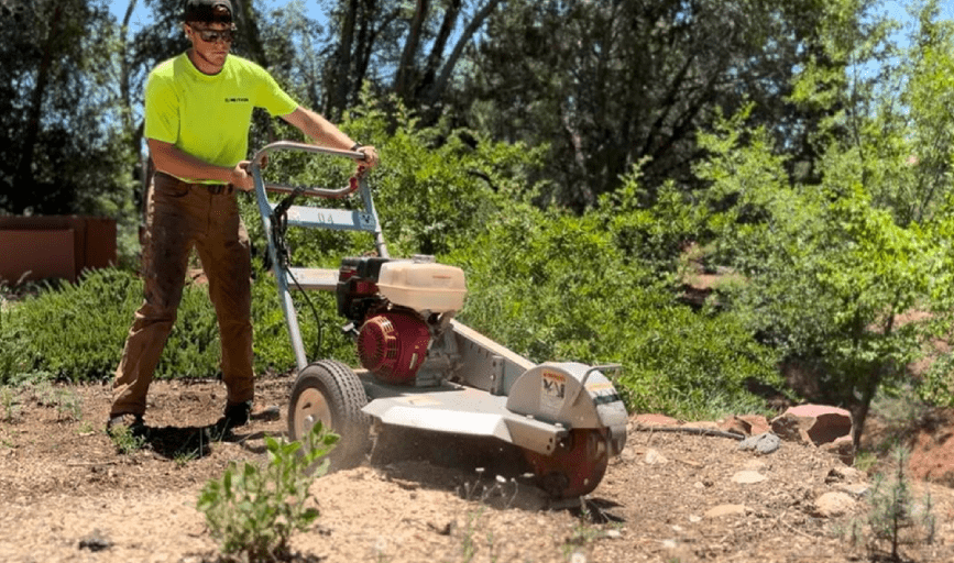 Climb It High Tree Experts