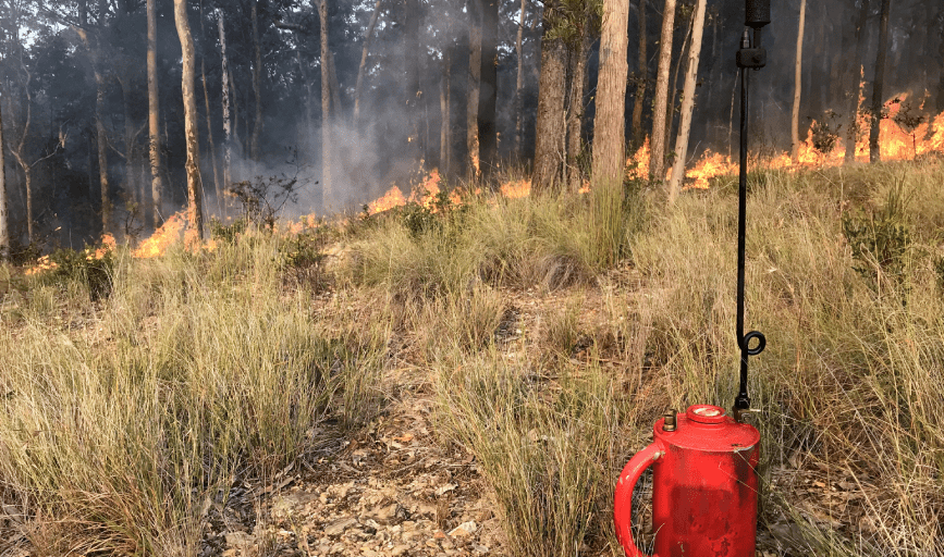 Climb It High Tree Experts