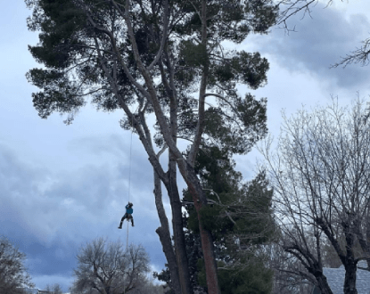 TECHNICAL RIGGING SERVICES