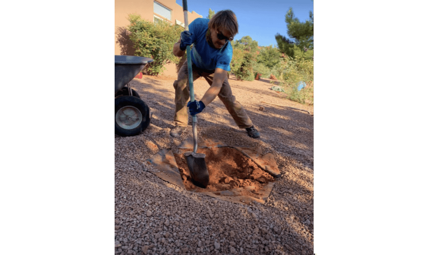 Climb It High Tree Experts